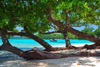 SWIM VANUATU WEEK 2 9TH - 15TH AUGUST 2027 - 1 SWIMMER DEPOSIT