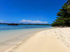 SWIM VANUATU WEEK 2 9TH - 15TH AUGUST 2027 - 1 SWIMMER DEPOSIT